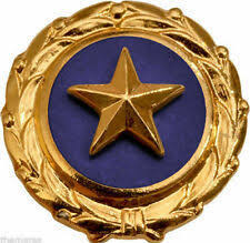 Gold Star Pin 2020